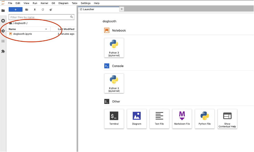 Start the provided python notebook under the dogbooth directory in the notebook user interface (UI’s) file browser as shown in the following figure.