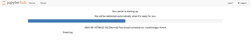Jupyterhub server is starting