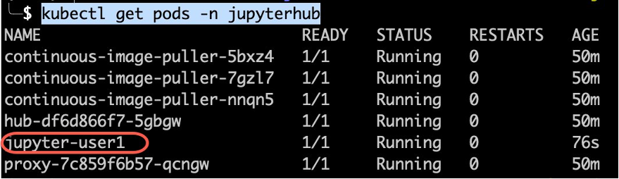 This triggers a pod jupyter-user1 to be provisioned on the g5 instance. You can see the pod if you issue kubectl get pods -n jupyterhub