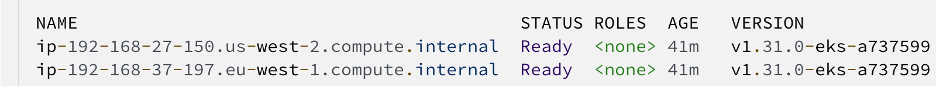 Figure 3: Amazon EKS Staging Cluster worker nodes