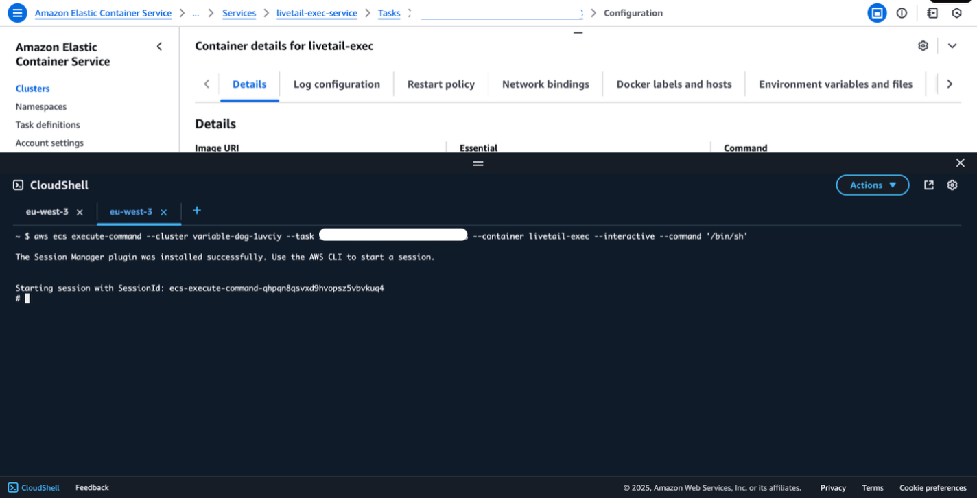 AWS ECS interface showing container details and CloudShell running execute-command with session manager