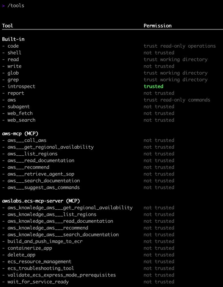 Figure 5: This is the CLI screenshot of the terminal and the tools associated with the ECS MCP server.